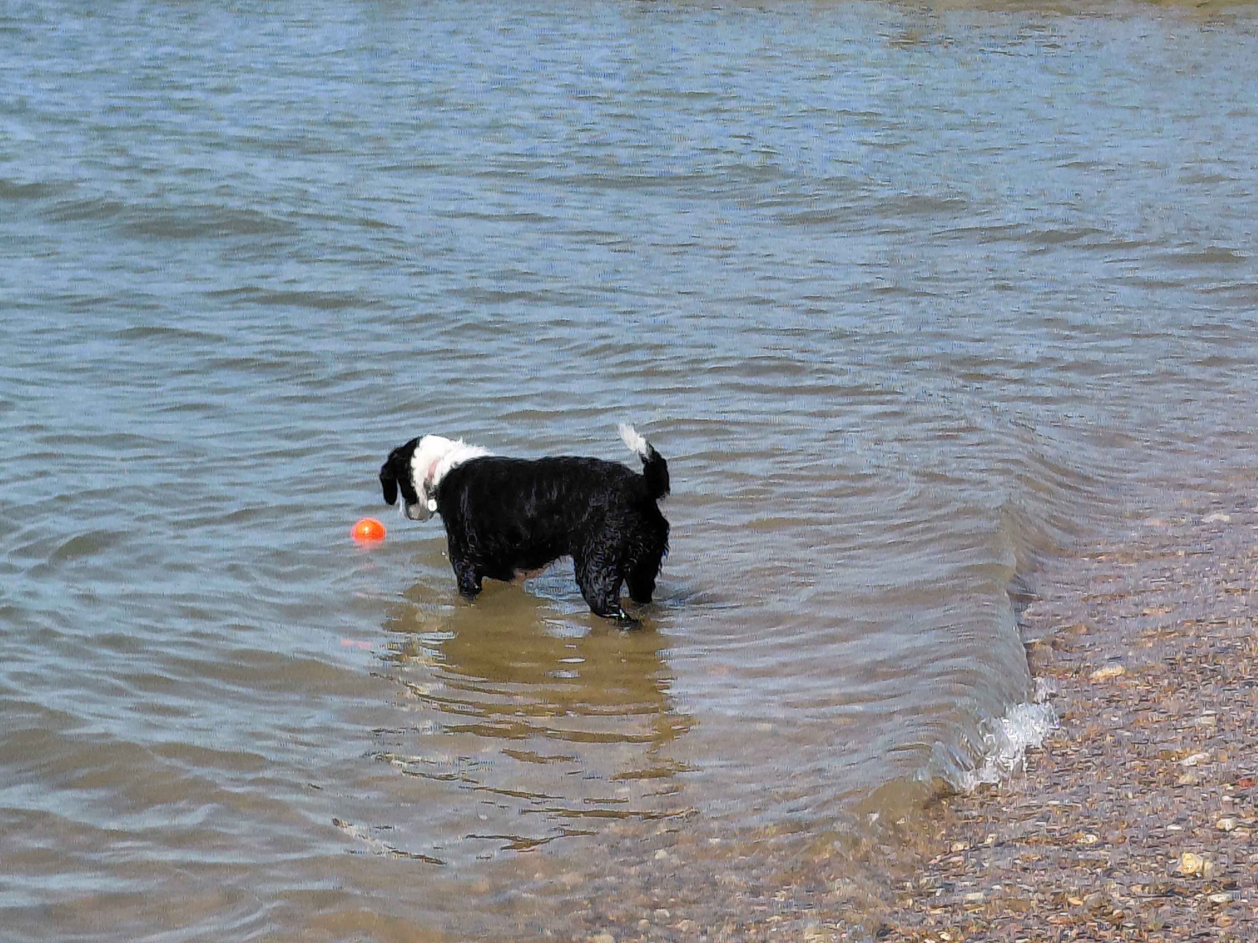 West Beach, Whitstable beach, South East